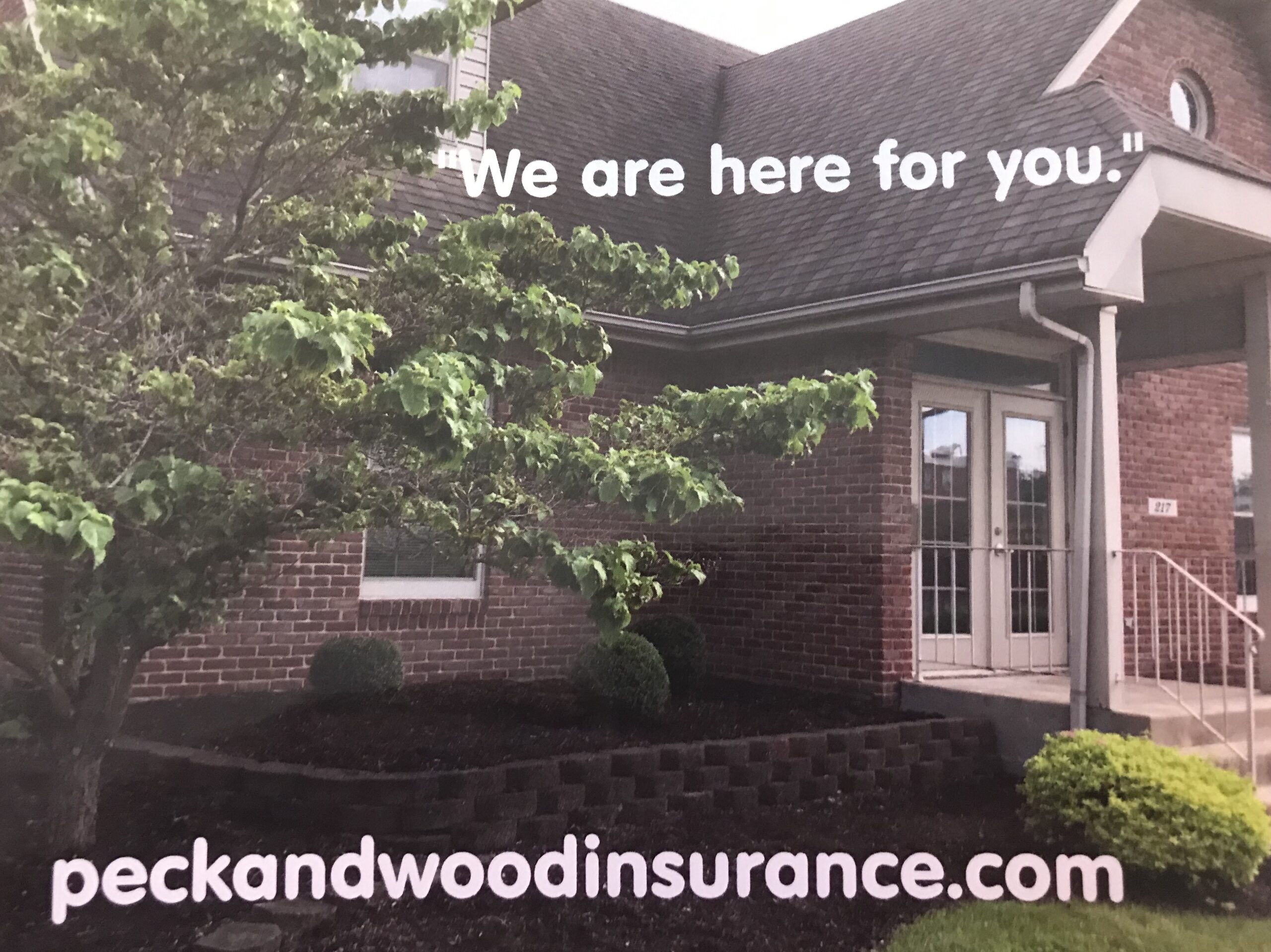 Which Insurance Option Is Best For You?